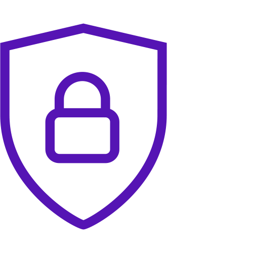Secure icon