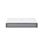 Canon Flatbed 201 Scanner