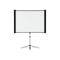 Epson ELPSC26 Projector Screen 80" Multi-Aspect 4:3