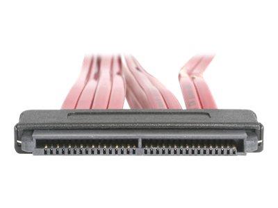 StarTech.com 50cm Serial Attached SCSI SAS Cable – SFF-8484 to 4x SFF-8482 with LP4 Power