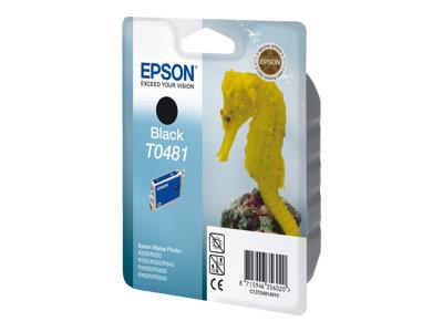 Epson Singlepack Black T0481