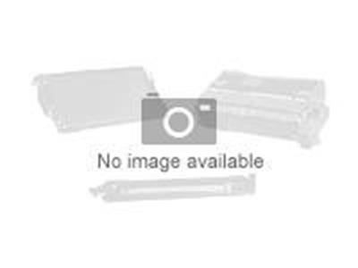 Epson Singlepack T596C00 UltraChrome HDR White 350 ml