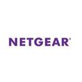 NETGEAR 2PT GIGE Powerline 1000 PassThru Bundle
