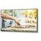 NEC MultiSync C551 C Series 55" 1920x1080 8ms VGA HDMI DisplayPort LED Large Format Display