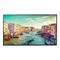 Samsung QM55R 55" 3480x2160 HDMI LED Large Format Display