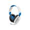Turtle Beach Recon 70P White