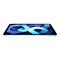 Apple 10.9-inch iPad Air Wi-Fi + Cellular 256GB - Sky Blue