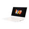 Acer ConceptD 3 Intel Core i7-10750H 16GB 1TB SSD 15.6" W10P