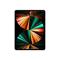 Apple 12.9-inch iPad Pro Wi-Fi + Cellular 1TB - Silver