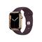 Apple Watch Series 7 GPS + Cellular 45mm Gold/Dark Cherry
