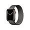 Apple Watch Series 7 GPS + Cellular 45mm Graphite Case and Loop